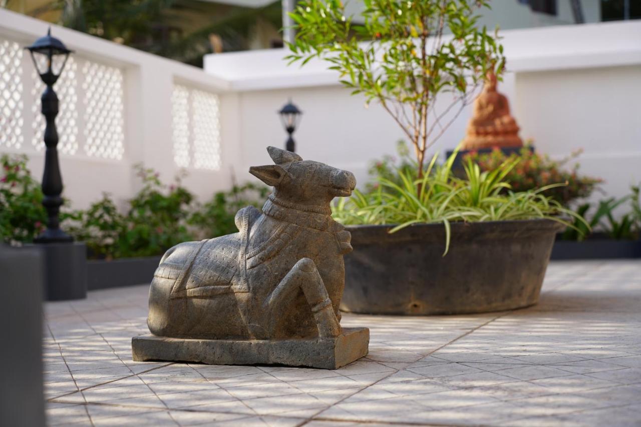Buddha Beach Hotel Kovalam Eksteriør bilde