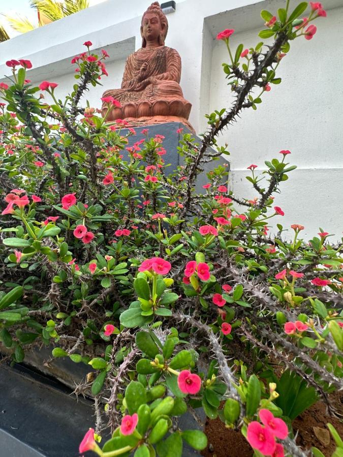 Buddha Beach Hotel Kovalam Eksteriør bilde